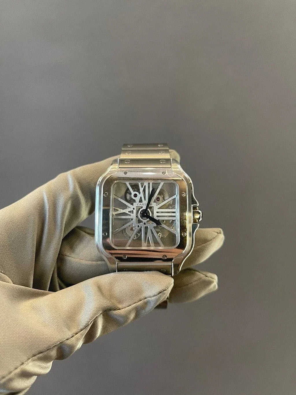 Santos WSS0003 Skelaton